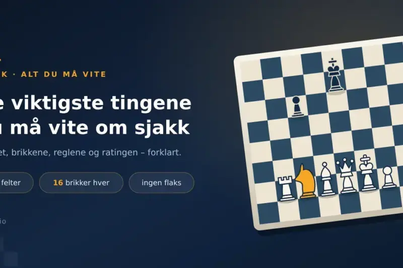 De viktigste tingene du må vite om sjakk