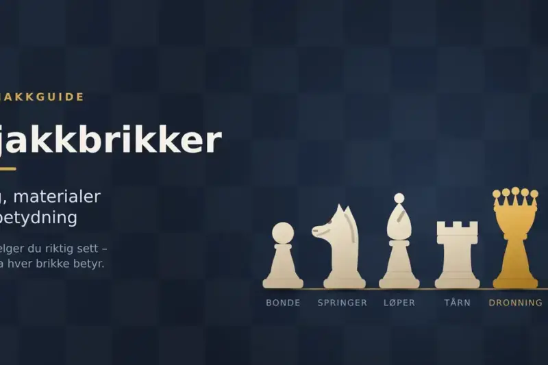 Sjakkbrikker: guide til valg, materialer og betydning